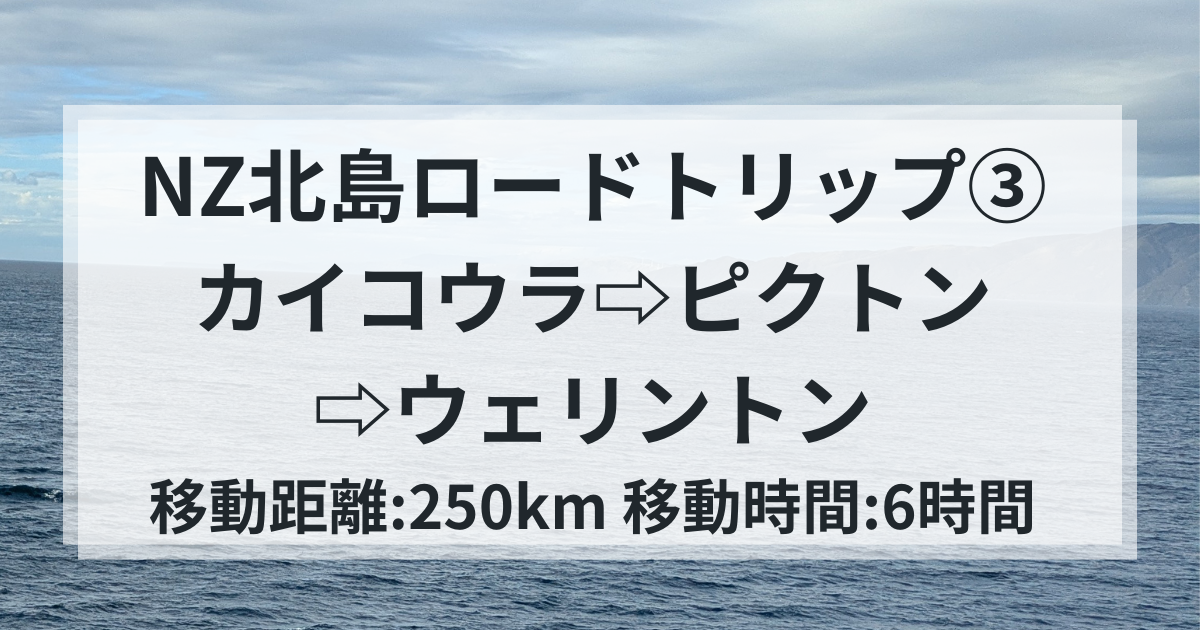 NZ北島ロードトリップ③カイコウラ⇨ピクトン⇨ウェリントン