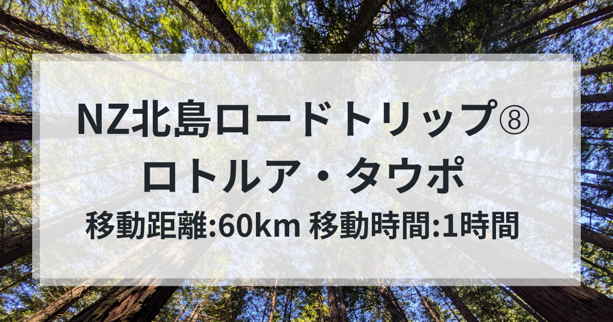 NZ北島ロードトリップ➇ロトルア・タウポ